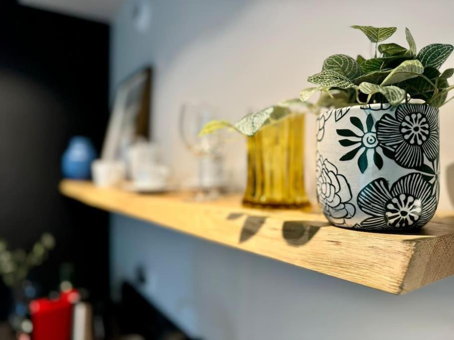 Art & Sunski Studio Z Garazem Podziemnym Krynica Zdroj Buitenkant foto