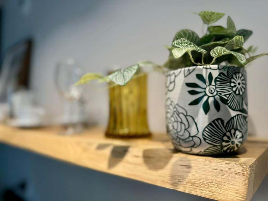 Art & Sunski Studio Z Garazem Podziemnym Krynica Zdroj Buitenkant foto